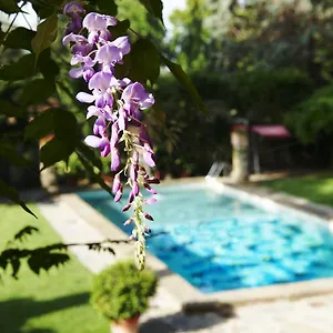 https://park-palace-hotel.it-tuscanyhotel.com